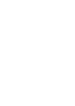 Pawn Launch web Sites